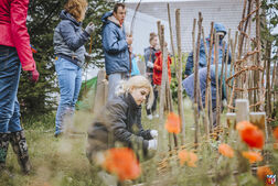 Bau von Weidenzäune im Steinzeitdorf