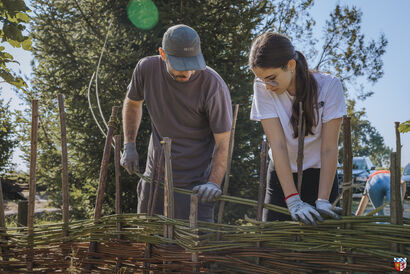 Bau von Weidenzäune im Steinzeitdorf